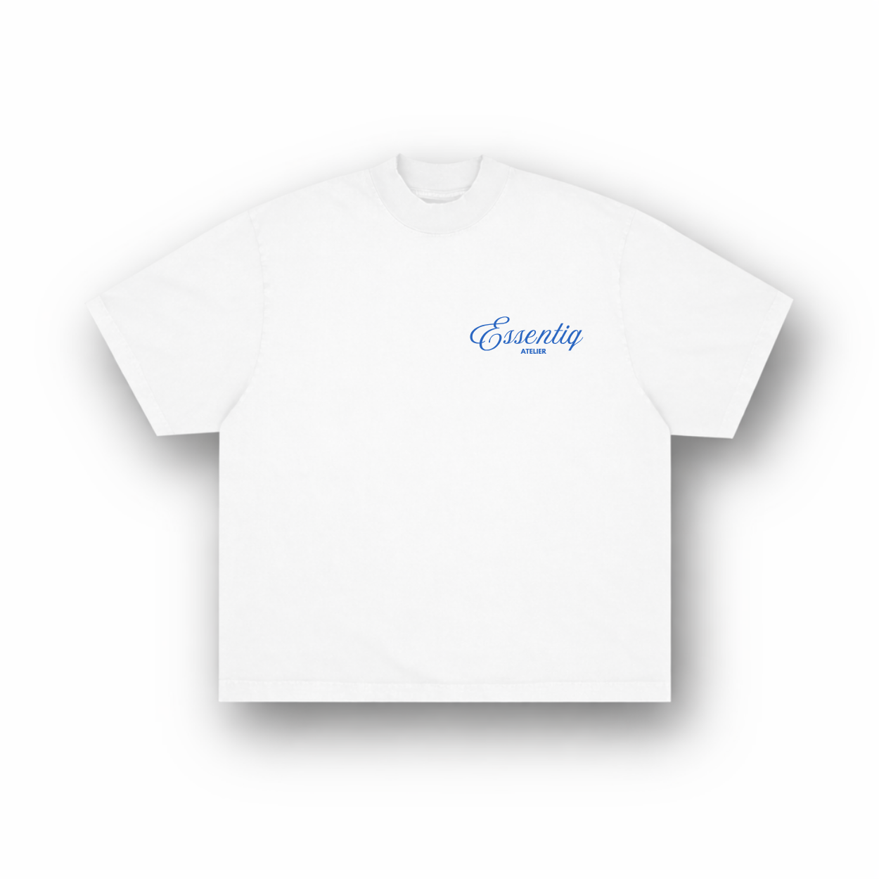 203001 WHITE/BLUE T-SHIRT